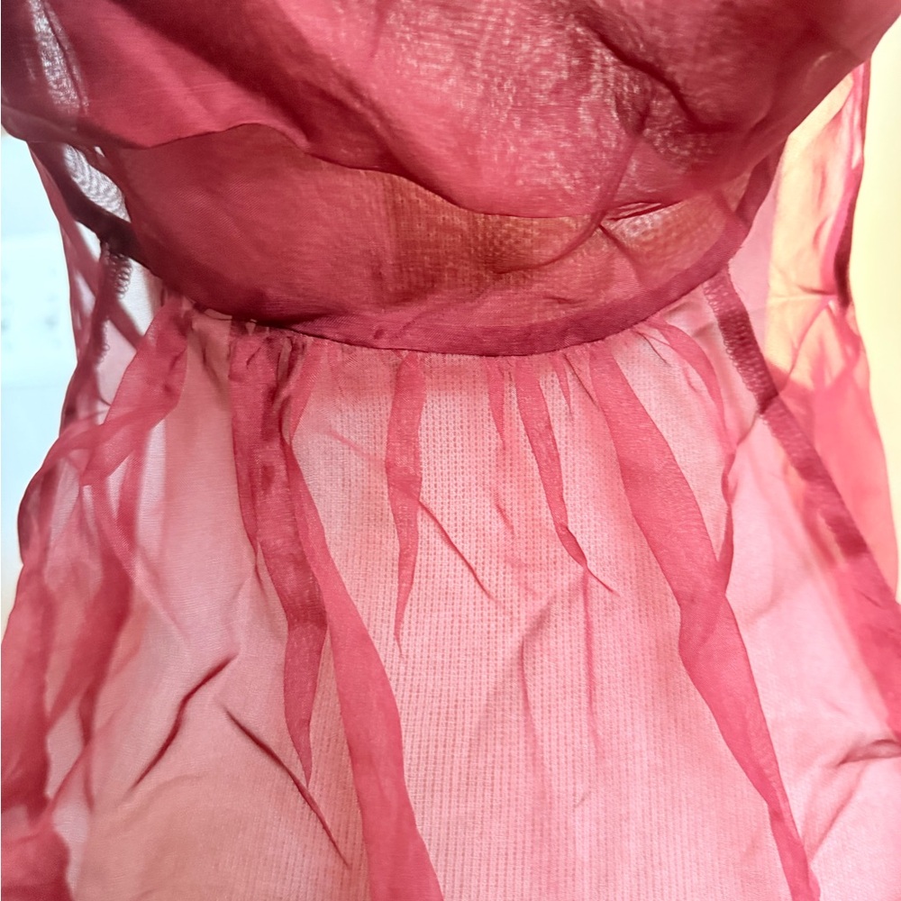 Luna Luz Silk Organza Sheer Deep Set Tunic Dress NWOT Sz S - Picture 5 of 10